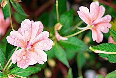 NBA® 2K23 第3赛季: 冬季降临球场在12月2号